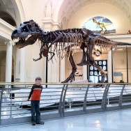 20110530-100436.jpg